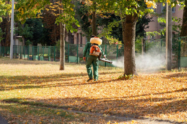 Best Pest Prevention Services  in Glastonbury Center, CT