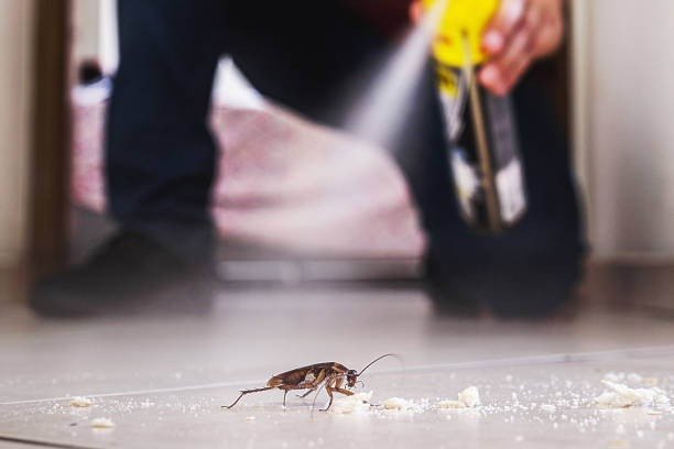 Best Commercial Pest Control Services  in Glastonbury Center, CT